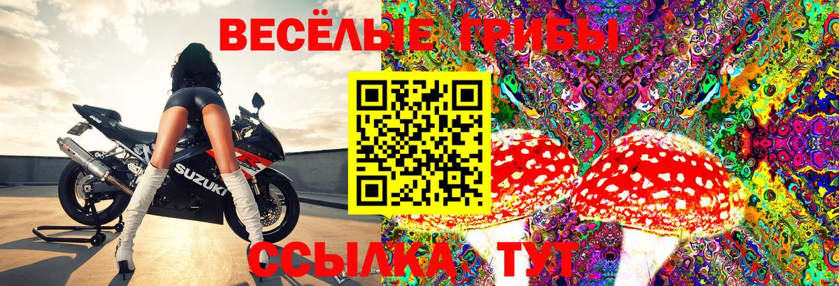 Галлюциногенные грибы Psilocybine cubensis  Галлюциногенные грибы Cubensis  Урюпинск  Вход с VPN 